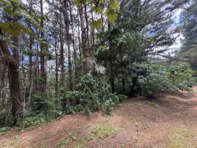 Venta de Lote o terreno an Altos del María - Asturias
