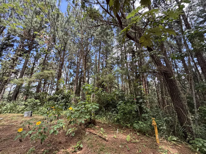 Venta de Lote o terreno an Altos del María - Asturias