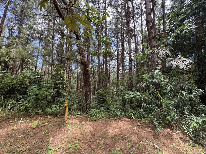 Venta de Lote o terreno an Altos del María - Asturias