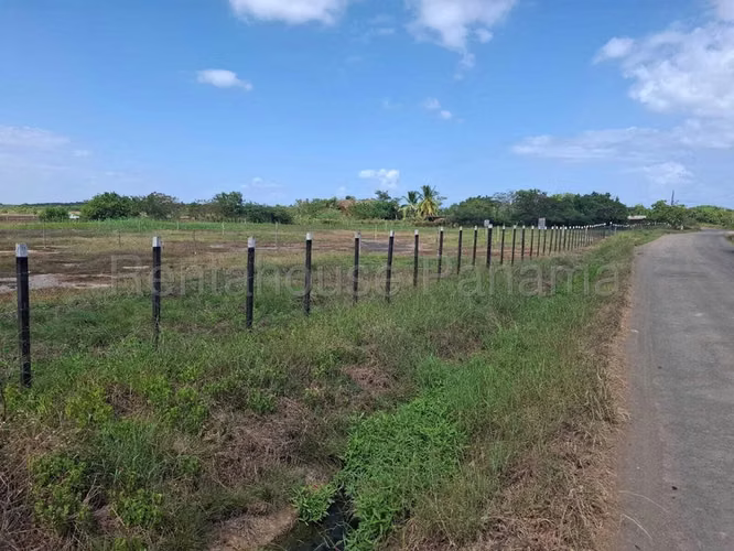 Terreno En Venta En Monagrillo BDP