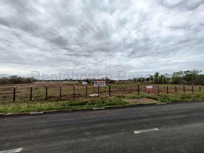 Terreno En Venta En Monagrillo BDP