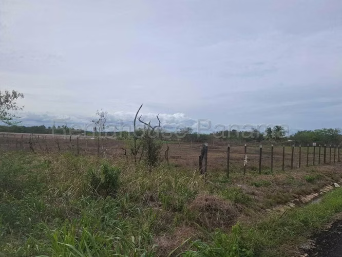 Terreno En Venta En Monagrillo BDP