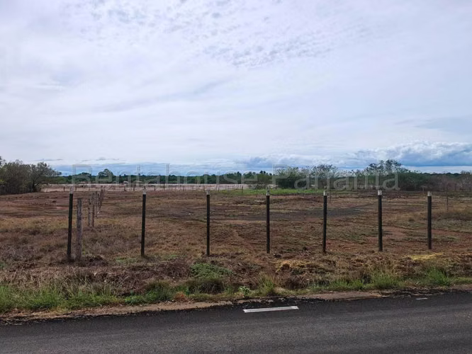 Terreno En Venta En Monagrillo BDP