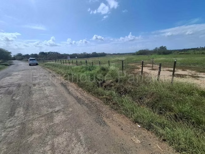 Terreno En Venta En Monagrillo BDP