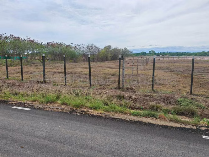 Terreno En Venta En Monagrillo BDP