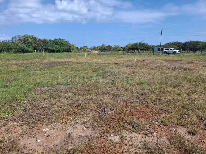 Terreno En Venta En Monagrillo BDP