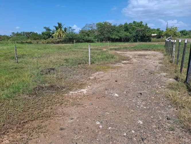 Terreno En Venta En Monagrillo BDP