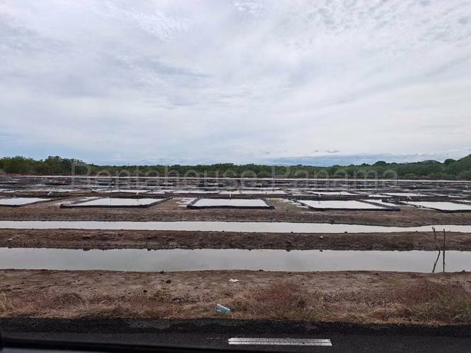 Terreno En Venta En Monagrillo BDP