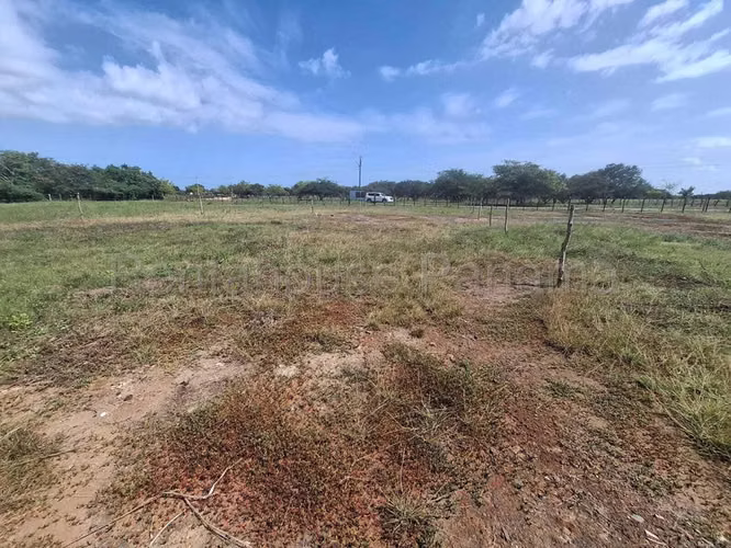 Terreno En Venta En Monagrillo BDP