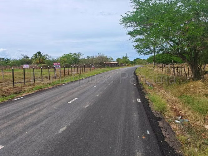 Terreno En Venta En Monagrillo BDP