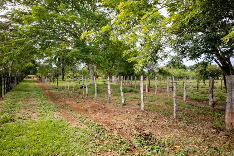 Terreno en Las Lajas, Panamá