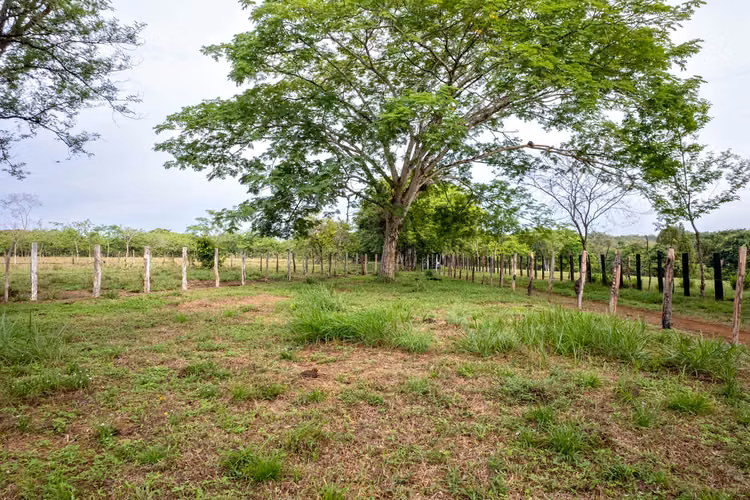 Terreno en Las Lajas, Panamá