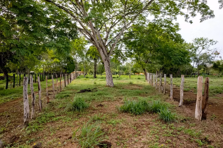 Terreno en Las Lajas, Panamá