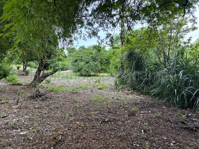 Vendo Terreno en Gorgona OF 26-8527