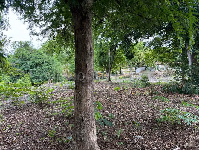 Vendo Terreno en Gorgona OF 26-8527