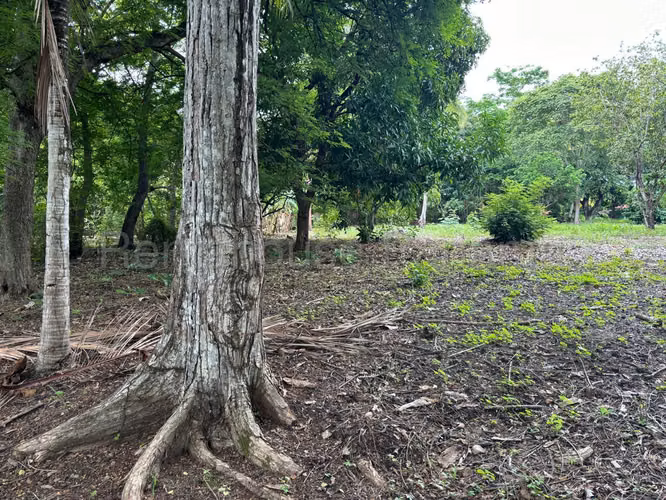 Vendo Terreno en Gorgona OF 26-8527