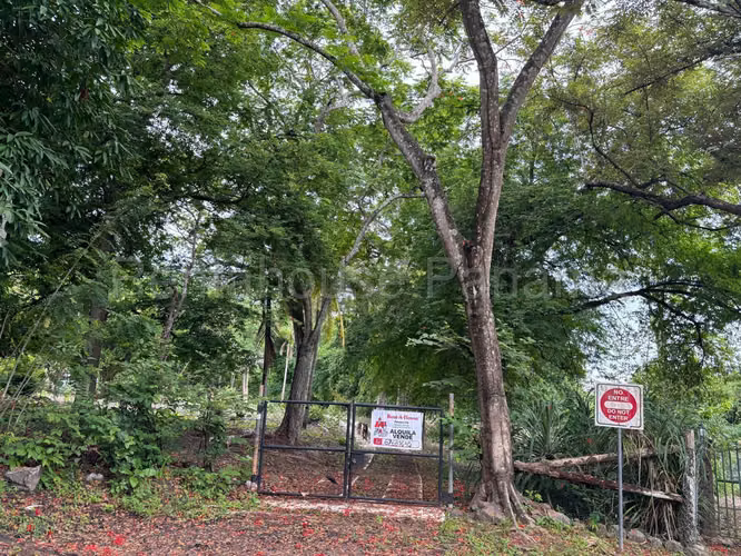 Vendo Terreno en Gorgona OF 26-8527
