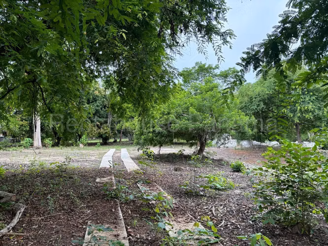 Vendo Terreno en Gorgona OF 26-8527