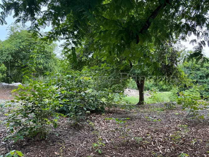 Vendo Terreno en Gorgona OF 26-8527