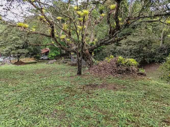 El Valle – Lote Campestre – 7,756mts2 – 350,000