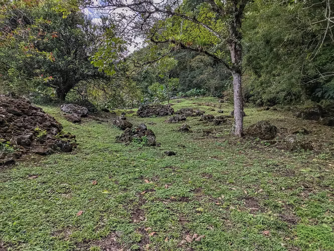 El Valle – Lote Campestre – 7,756mts2 – 350,000