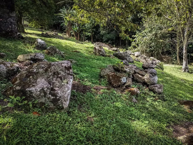 El Valle – Lote Campestre – 7,756mts2 – 350,000