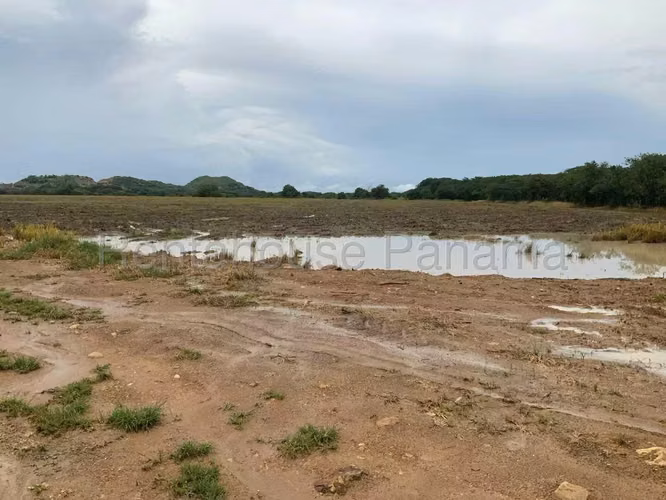 Venta de Terreno en Penonome Finca Agroganadera ANL