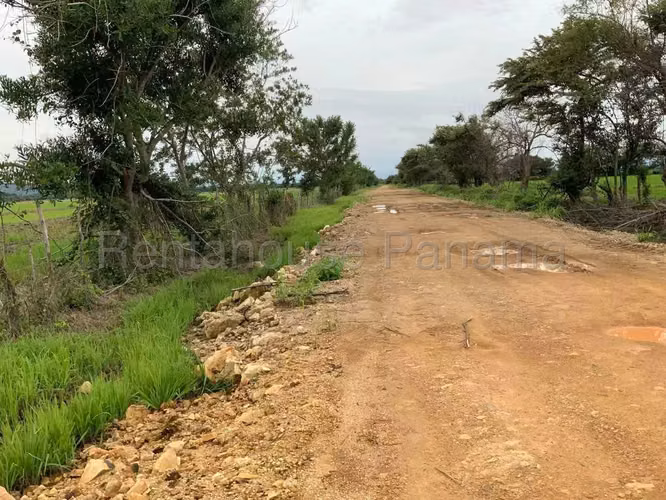 Venta de Terreno en Penonome Finca Agroganadera ANL