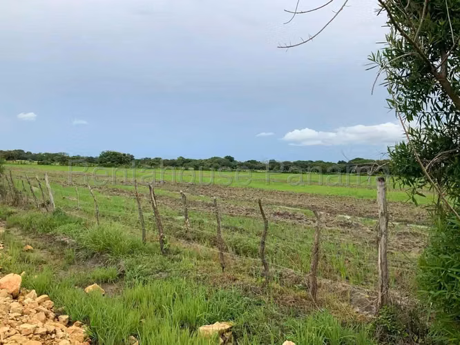 Venta de Terreno en Penonome Finca Agroganadera ANL