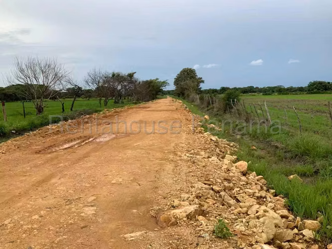 Venta de Terreno en Penonome Finca Agroganadera ANL