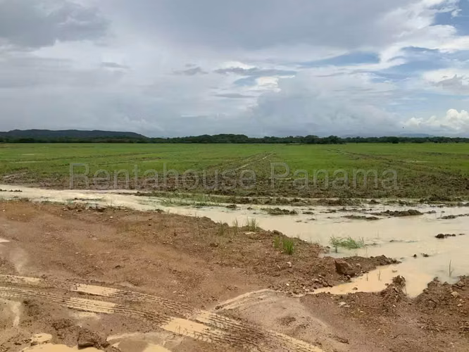 Venta de Terreno en Penonome Finca Agroganadera ANL