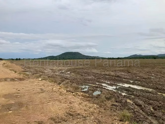 Venta de Terreno en Penonome Finca Agroganadera ANL