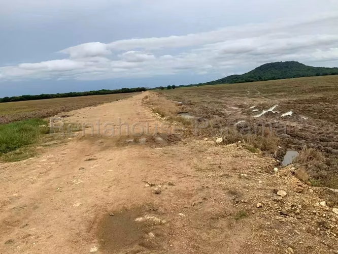 Venta de Terreno en Penonome Finca Agroganadera ANL