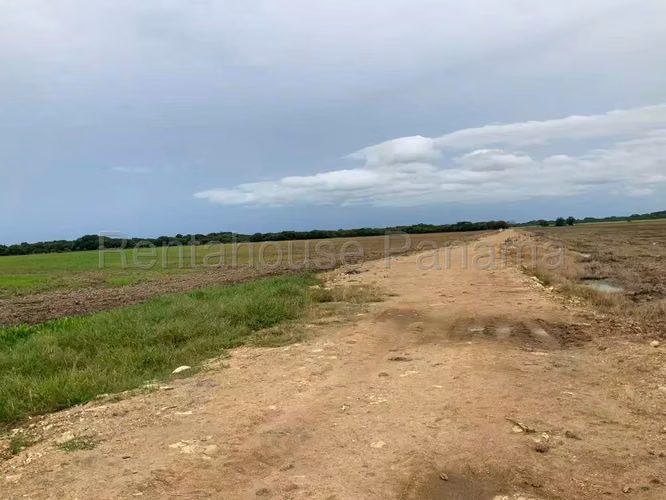 Venta de Terreno en Penonome Finca Agroganadera ANL