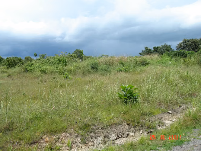VENDO (2) LOTES CLUB DE GOLF CORONADO - 2,554.10m2