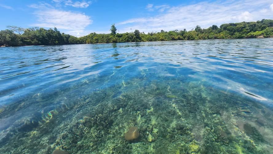 Venta de Isla Cayo de Agua | Bocas del Toro