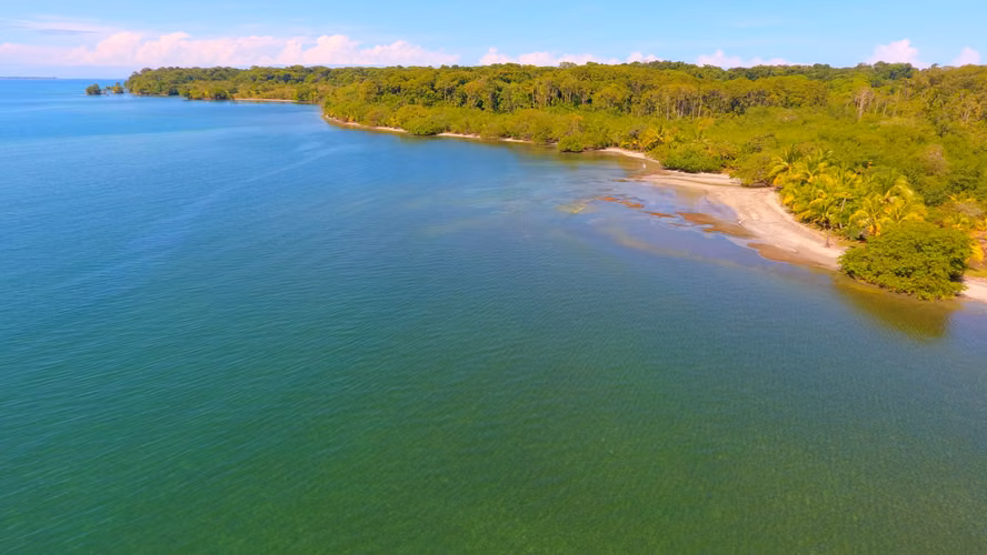 Venta de Isla Cayo de Agua | Bocas del Toro