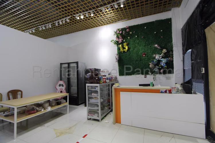 Local Rental in Condado del Rey My Condado KC