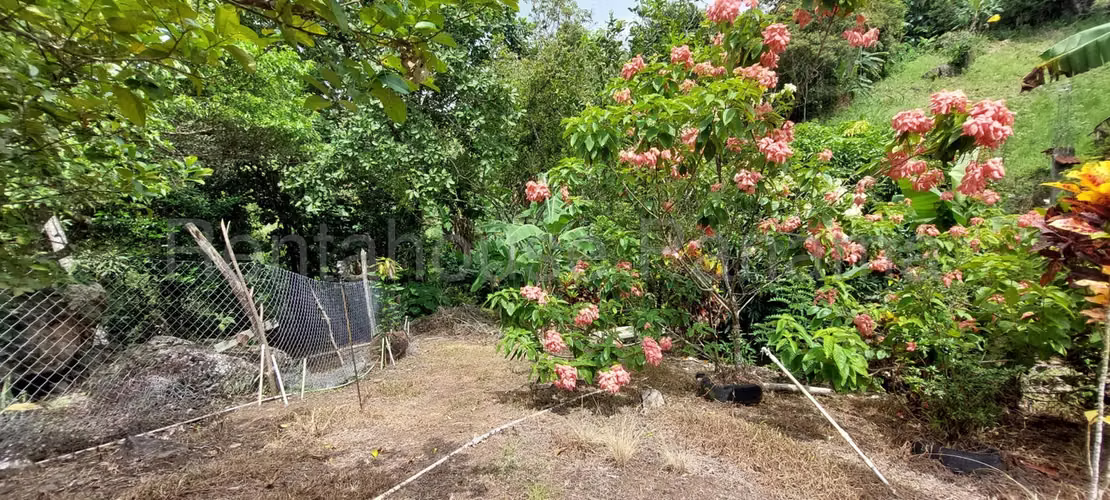 VENTA FINCA CON CASA EN CHICA