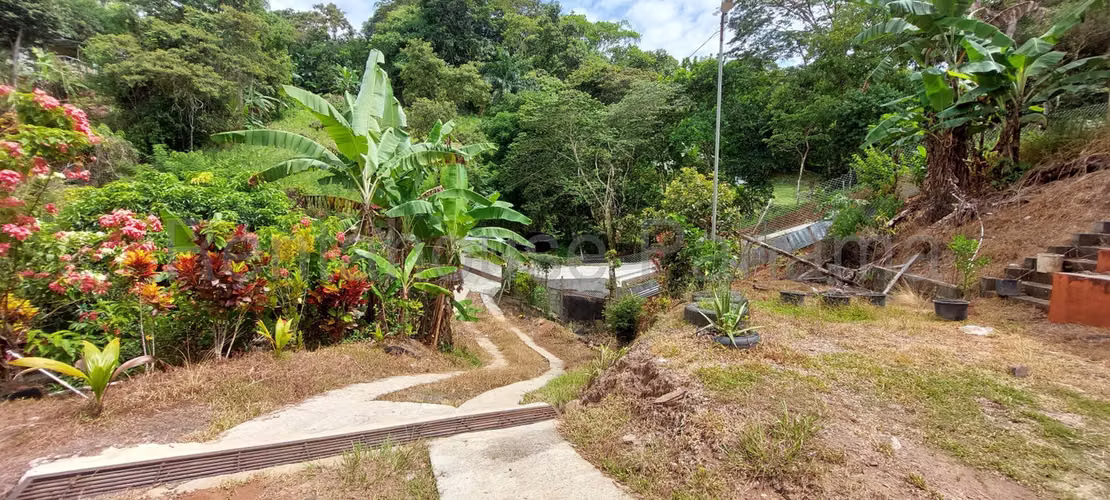 VENTA FINCA CON CASA EN CHICA