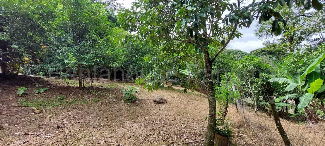 VENTA FINCA CON CASA EN CHICA