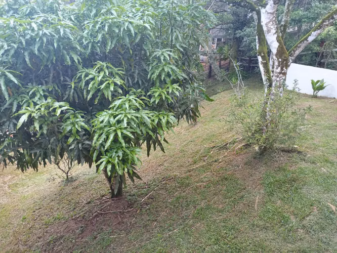 Casa en Venta en Altos de Cerro Azul - Imagen 13