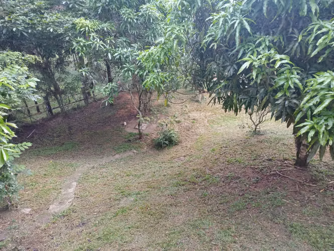 Casa en Venta en Altos de Cerro Azul - Imagen 11