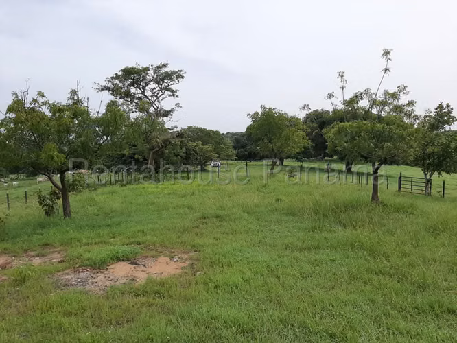 VENTA DE TERRENO SAN CARLOS GM