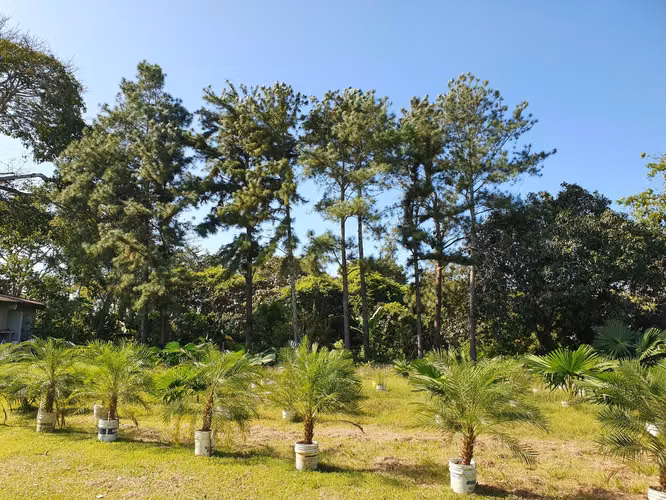 VENTA DE TERRENO ARRAIJAN GM