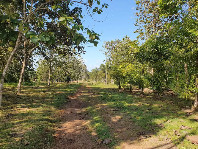 VENTA DE TERRENO ARRAIJAN GM