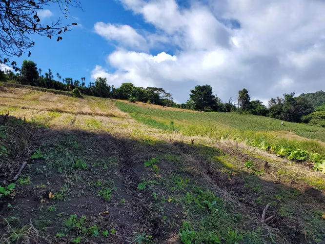 Se vende 10 hectáreas. Boquete los Naranjos  16.00 mt2 - Imagen 8