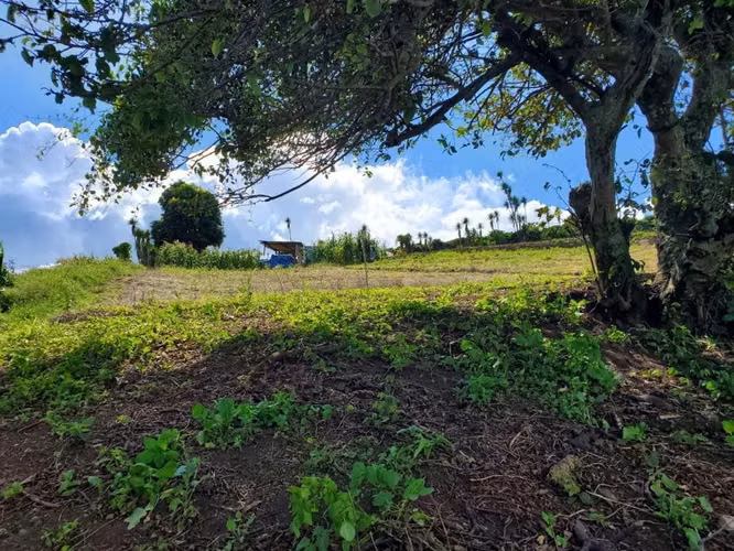 Se vende 10 hectáreas. Boquete los Naranjos  16.00 mt2 - Imagen 2
