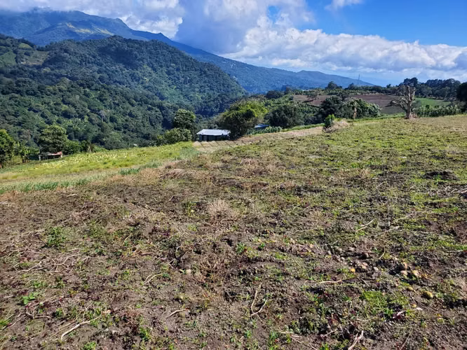 Se vende 10 hectáreas. Boquete los Naranjos  16.00 mt2 - Imagen 11