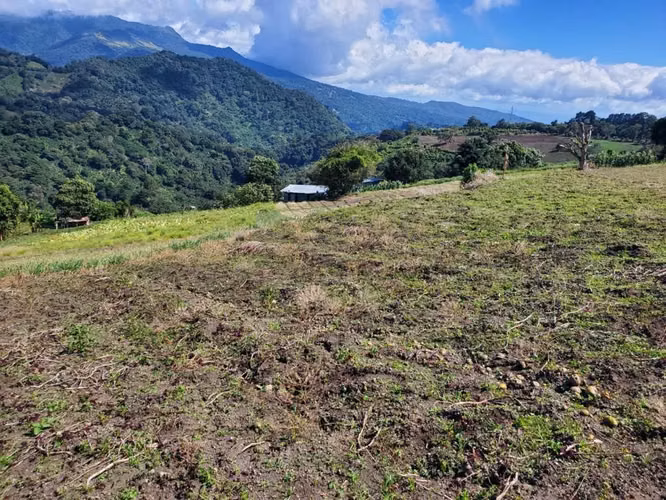Se vende 10 hectáreas. Boquete los Naranjos  16.00 mt2 - Imagen 3